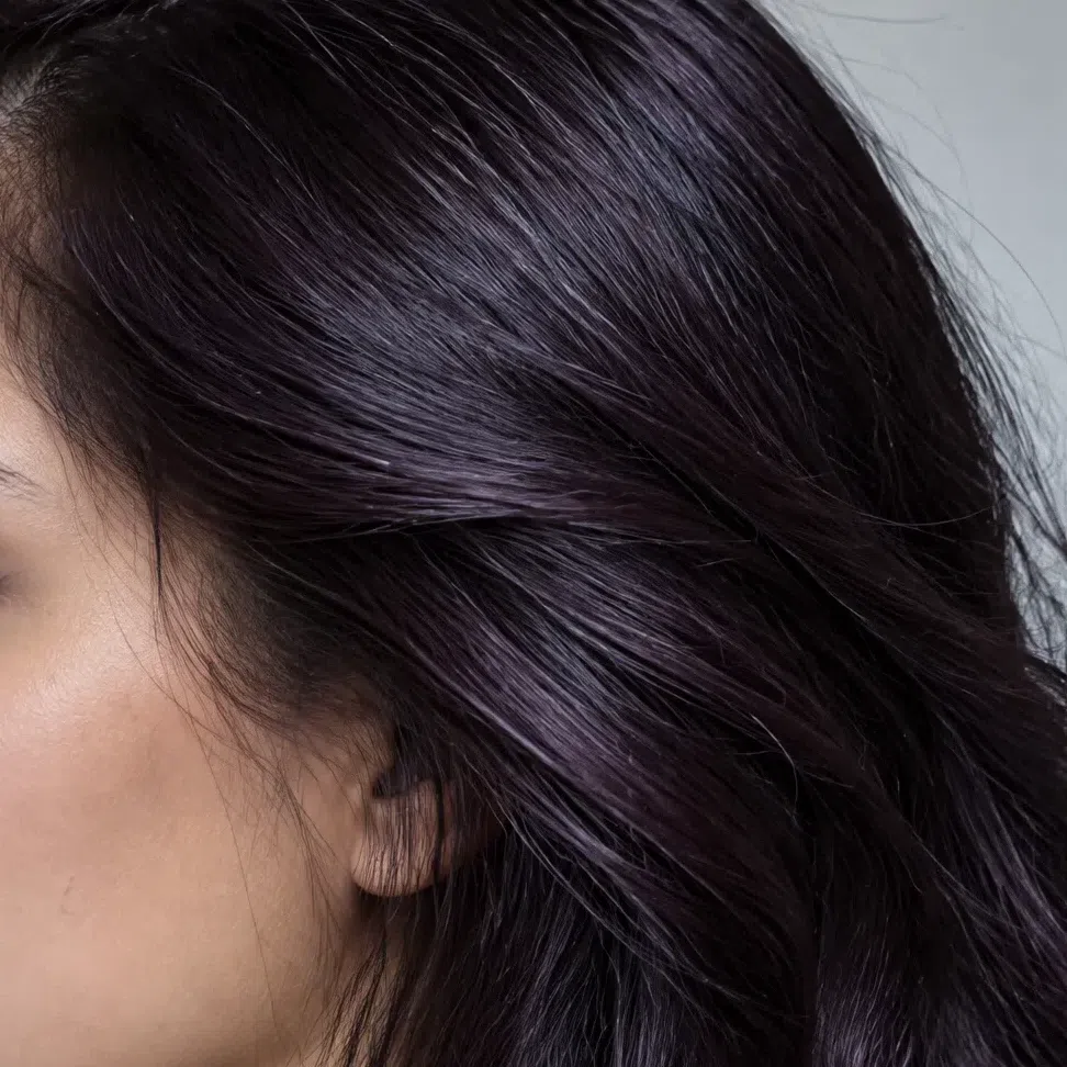 Dark aubergine hair on a Bright Winter, salon level 2