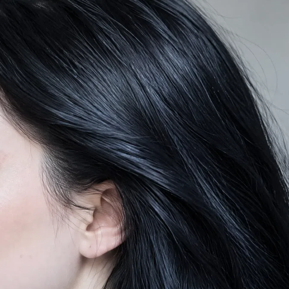 Blue-black hair on a Bright Winter, salon level 1