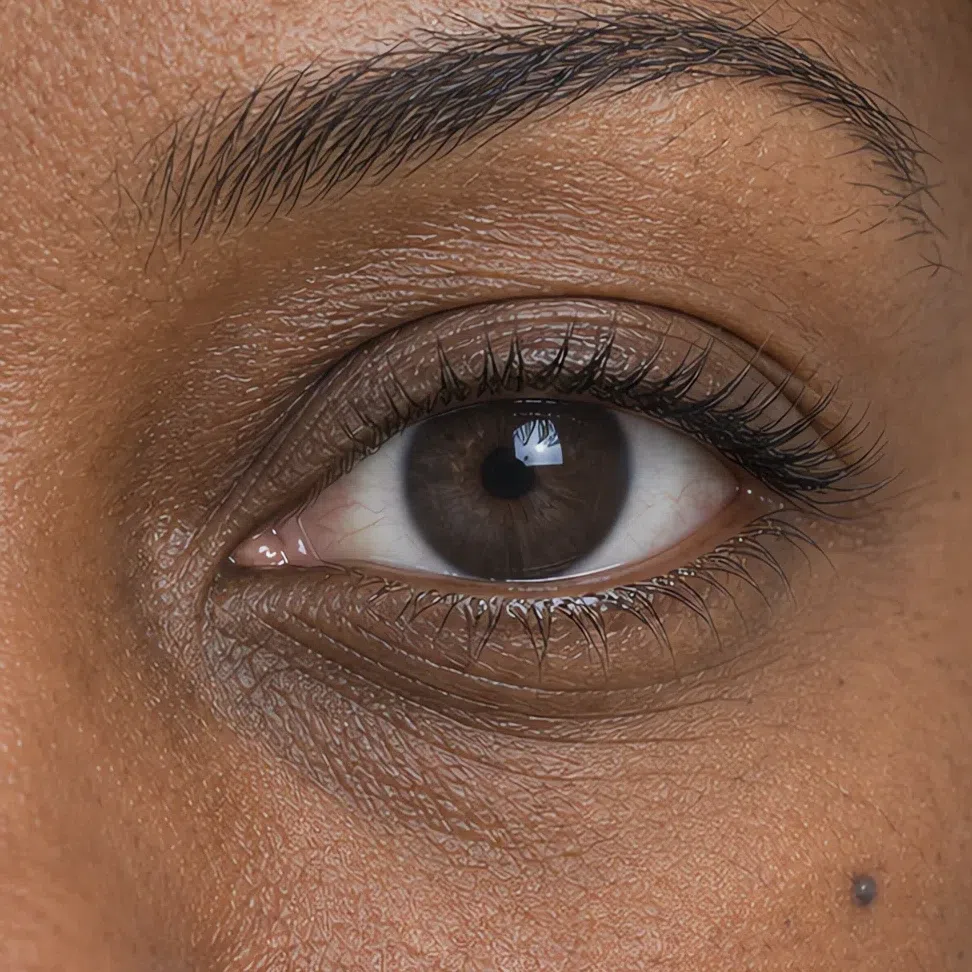 Cool dark brown Cool Summer eye, bitter chocolate with no amber