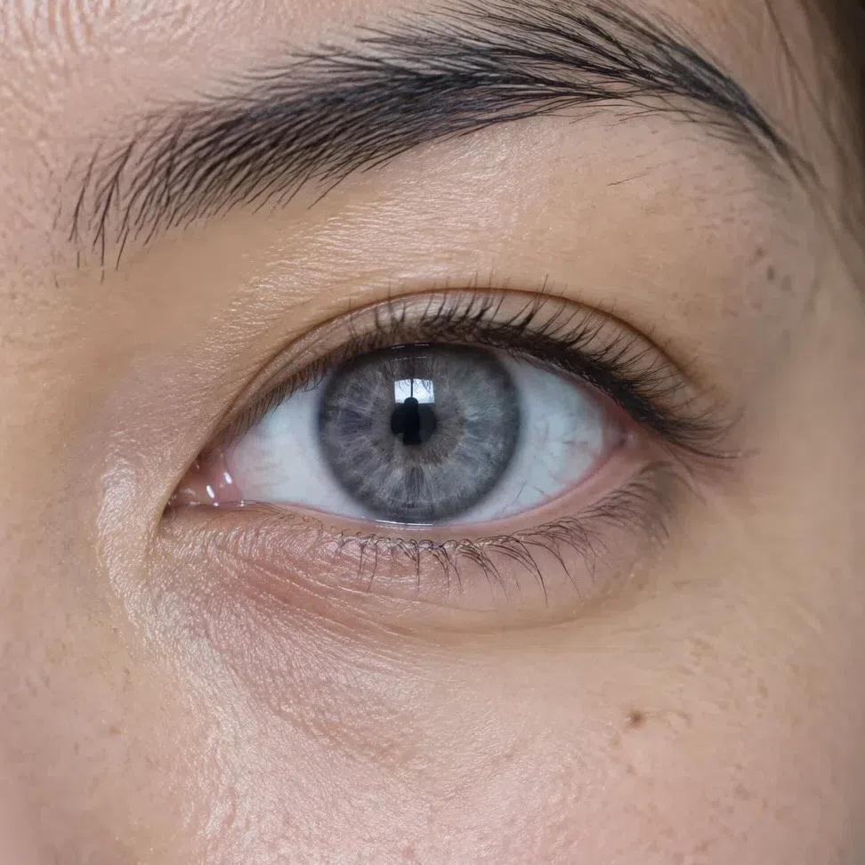 Macro of a steel-gray Cool Winter iris with a faint violet tint