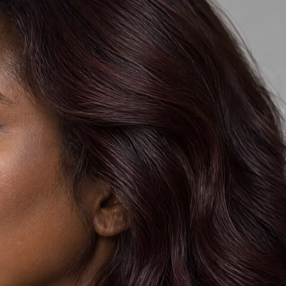 Black tulip hair color for Deep Autumn, very dark brown with a burgundy undertone