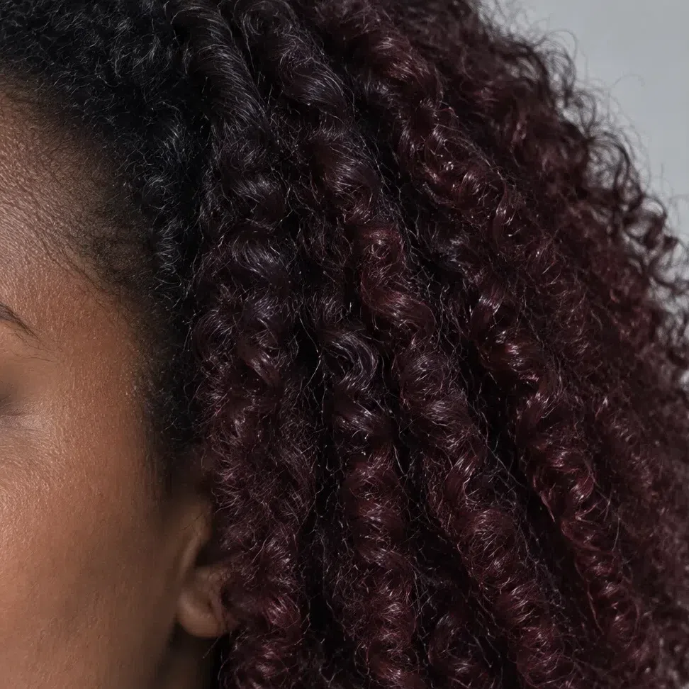 Black cherry ombre on dark coils for Deep Winter