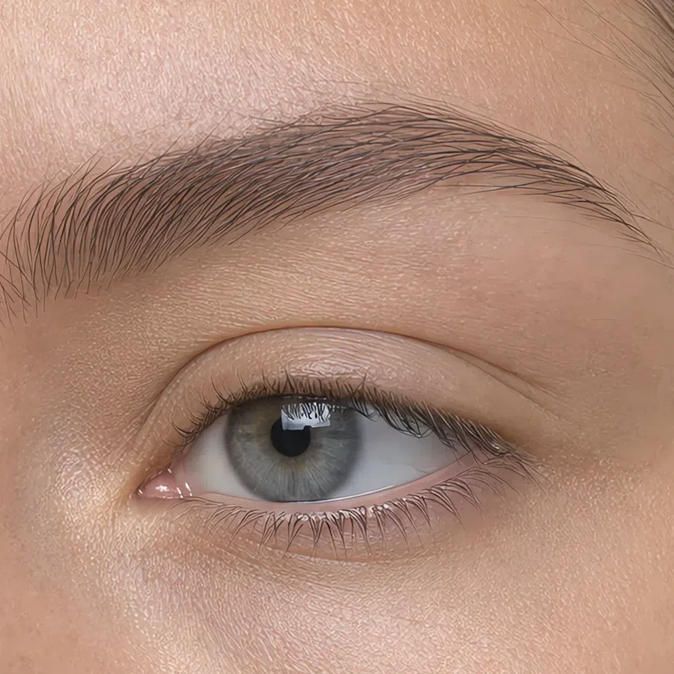 A brow filled with soft matte powder, individual hairs visible and the edge fading out