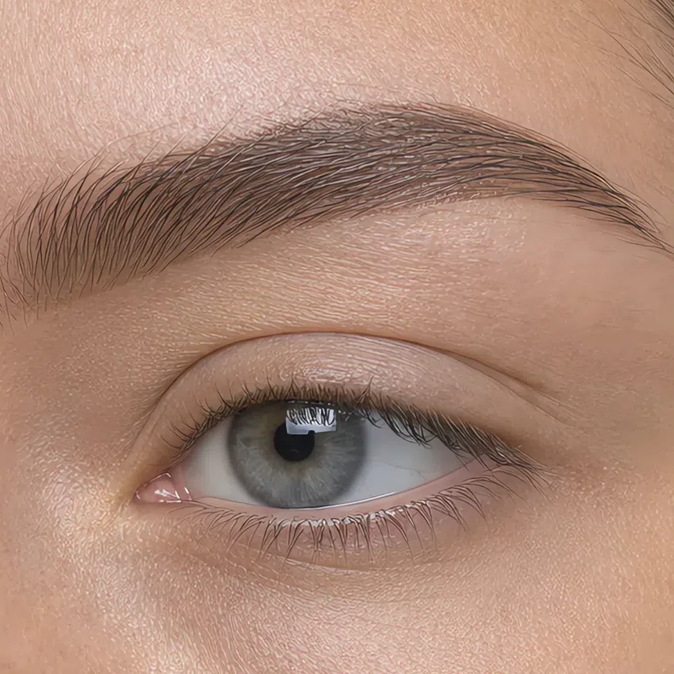 A brow drawn with a waxy pencil, a solid outlined shape with a sheen along the line
