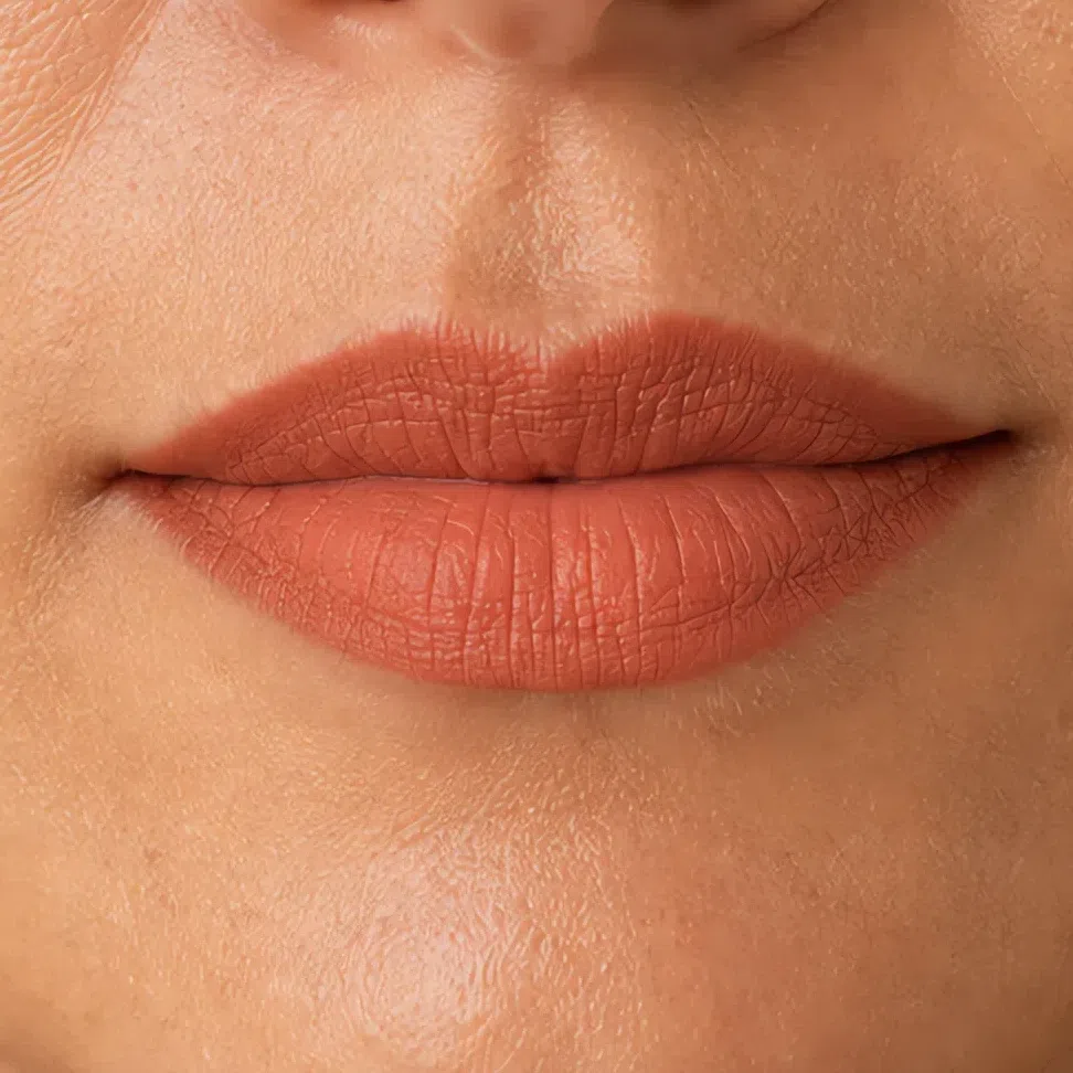 A muted terracotta lipstick in a flat matte finish