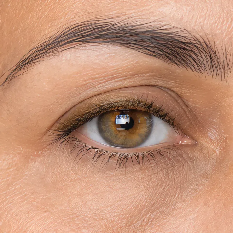 Brass eyeliner on light olive skin, Soft Autumn