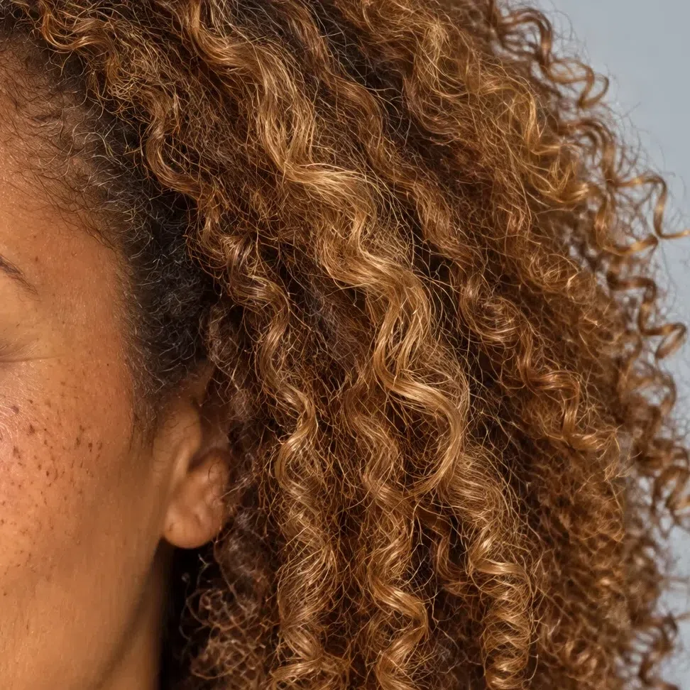 Dark curly hair with honey balayage beside deep brown skin